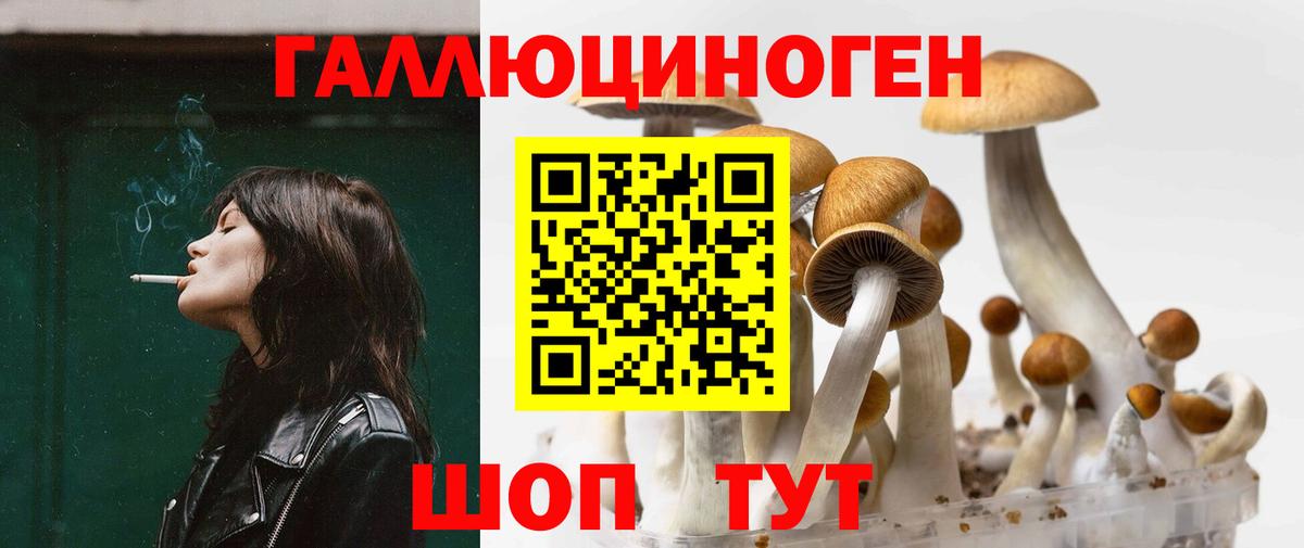 Галлюциногенные грибы Cubensis  Вход с VPN  наркотики  Галлюциногенные грибы MAGIC MUSHROOMS  Усинск 